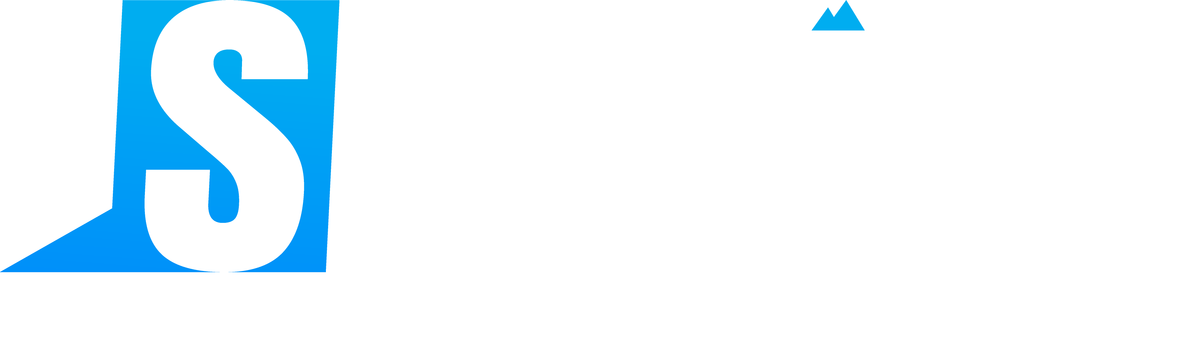 Skyhigh Sales